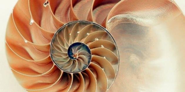 InnerSpeak (İç Benlikle Konuşma) Sertifikası